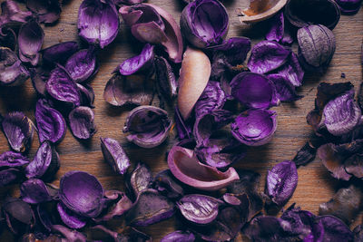 Full frame shot of purple flowers