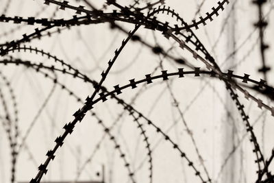 Close-up of barbed wire outdoors