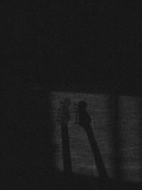 Shadow of people on wall