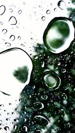 Close-up of raindrops on glass