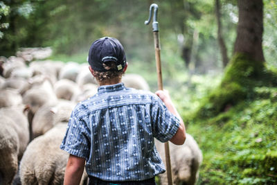 Rear view of man walking with sheep on land