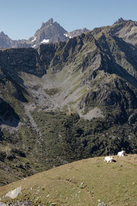 Scenic view of landscape against clear sky