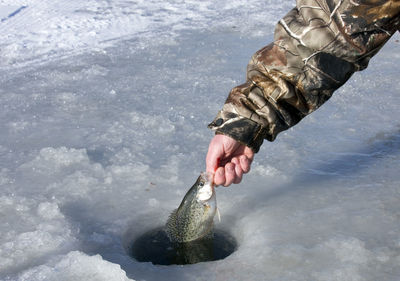 Cropped hand of man ice fishing