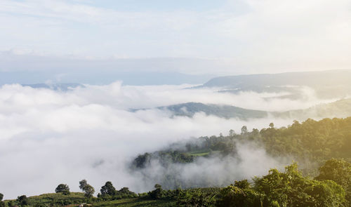 Panoramic view of landscape against sky