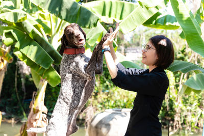 Great dane dog standing on two legs and giving its paw hi-five to young woman in garden