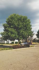 Road with trees in background