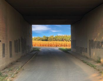 Empty road amidst buildings against sky