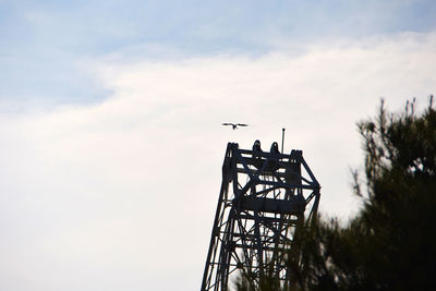 Low angle view of airplane flying in sky