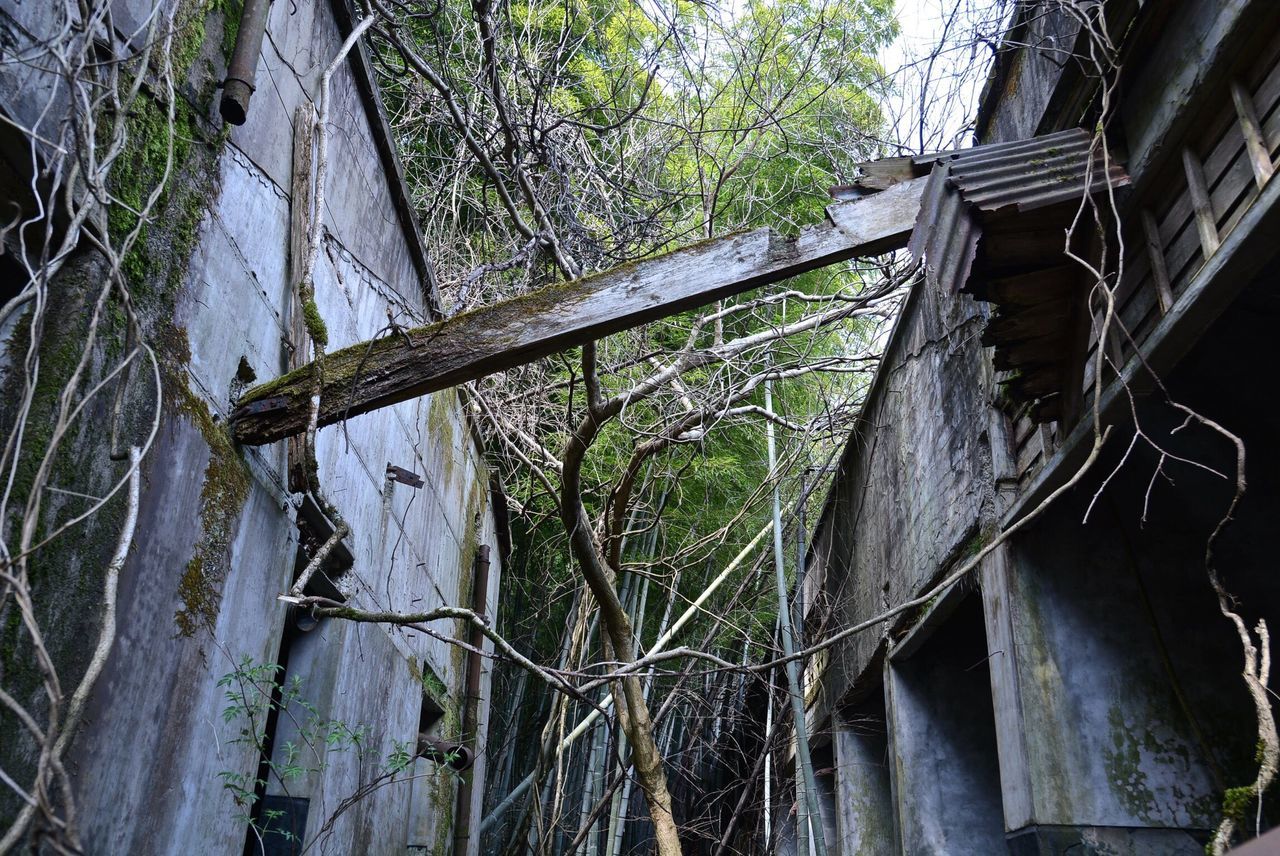 built structure, architecture, building exterior, house, abandoned, damaged, old, railing, run-down, obsolete, deterioration, weathered, metal, connection, plant, tree, day, rusty, low angle view, no people