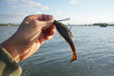 Cropped image of hand holding fishing lure