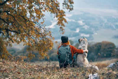 Rear view of dog sitting on street during autumn