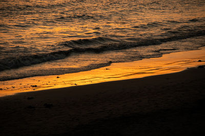 Scenic view of beach during sunset