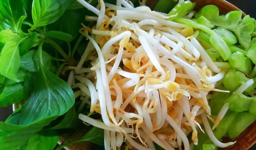 High angle view of chopped vegetables in plate