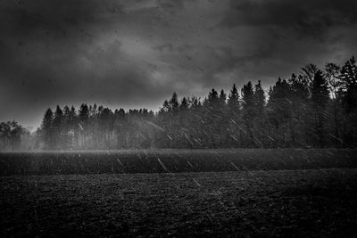 Trees on field against sky