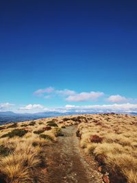 Scenic view of landscape against blue sky