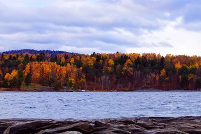 Scenic view of lake against sky during autumn