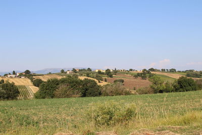 Scenic view of landscape against blue sky