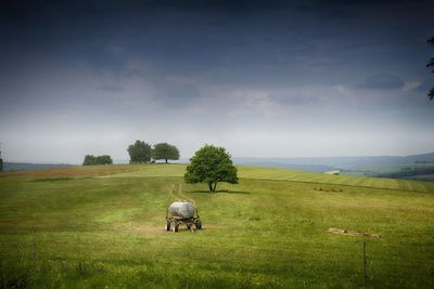 Horse grazing on field against sky