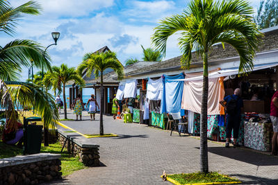 Panoramic view of people walking on palm trees