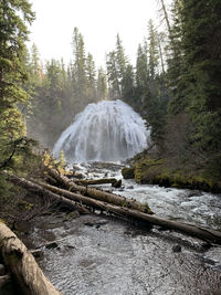 Scenic view of waterfall in forest against sky