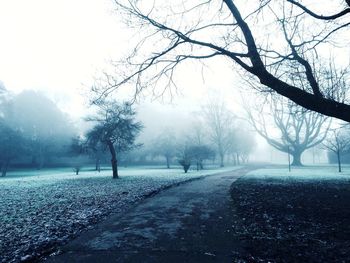 Empty road passing through forest