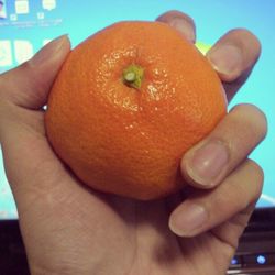 Cropped image of hand holding food