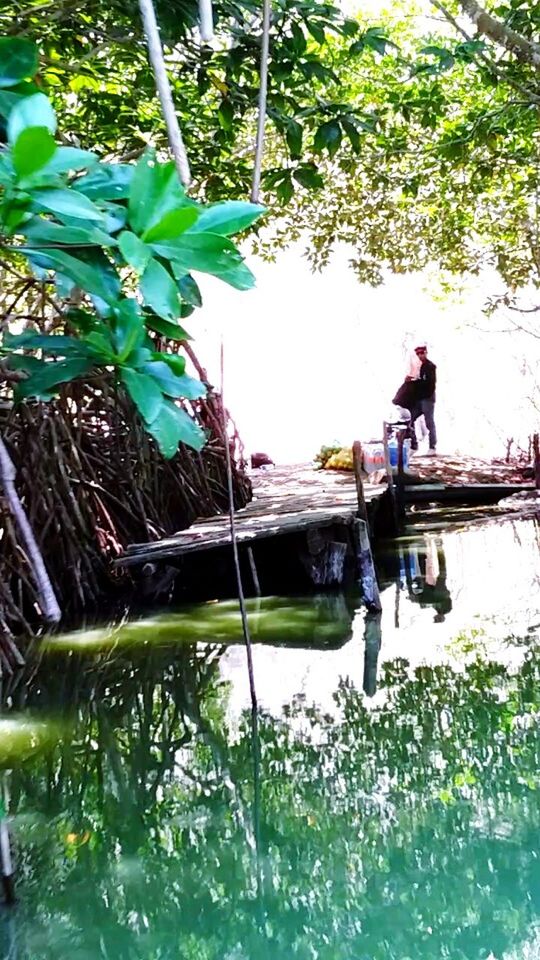 transportation, nautical vessel, mode of transport, water, real people, outdoors, day, nature, one person, tree, men, beauty in nature, rowing, people