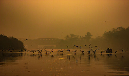 Birds flying over lake against sky