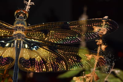 Low angle view of illuminated lighting equipment at night