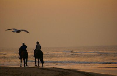 View of beach at sunset