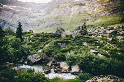 Scenic view of mountains