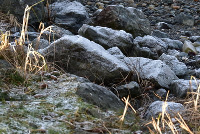 Close-up of snow