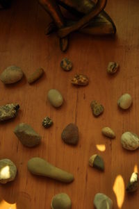 High angle view of chopped pumpkin on table