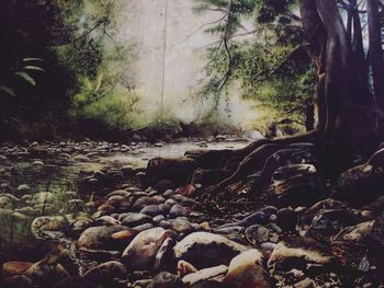 Close-up of trees in forest