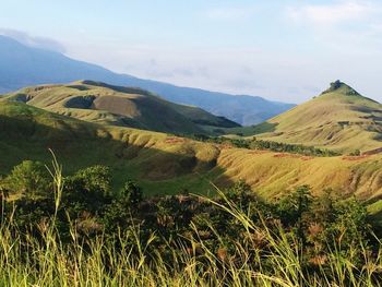 Scenic view of landscape