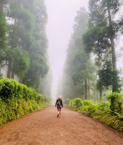 Viewpoint  path 