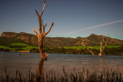 Scenic view of lake against sky