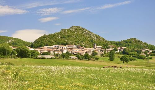 Scenic view of field by buildings against sky