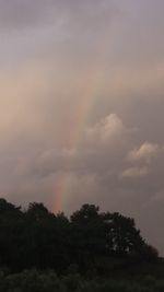 Low angle view of silhouette trees against sky