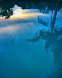 Reflection of tree in lake against sky