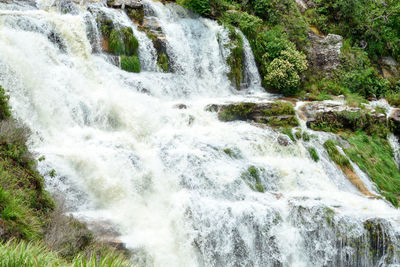 Scenic view of waterfall in forest