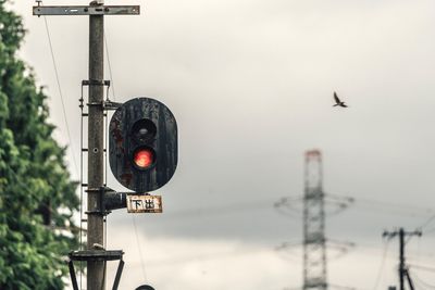 Low angle view of bird against sky