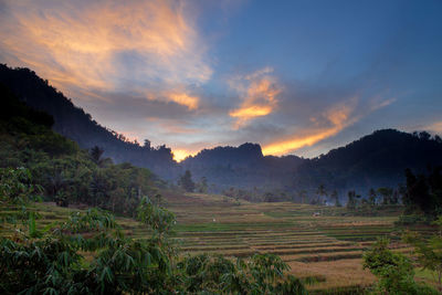 Scenic view of field against sky during sunset