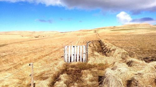 Scenic view of landscape against blue sky