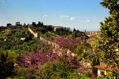 Scenic view of flowering plants and buildings against sky