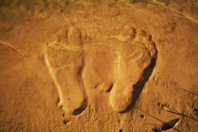 High angle view of footprints on beach