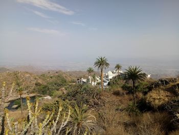 Palm trees on landscape against sky