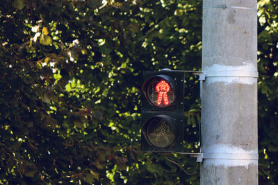 Close-up of stop signal for walkers