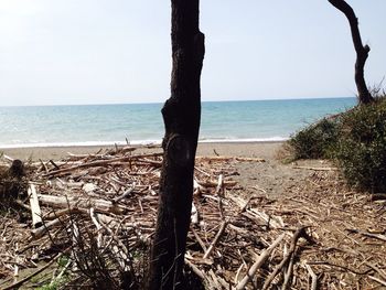 Scenic view of sea against sky