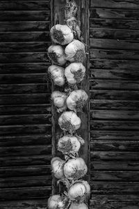 Directly above shot of vegetables on wood